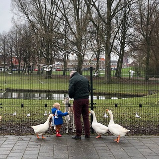 Логотип @dutchthoughts - Нидерланды во время 👑