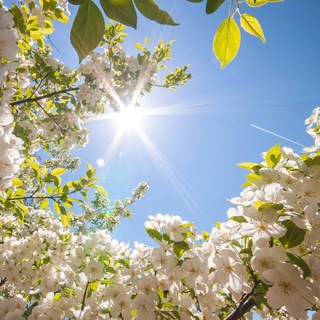 Логотип @duvovmir - Духовный☦️Мир православия