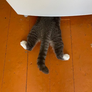 Логотип @dvd_20_ntc - Комментарии