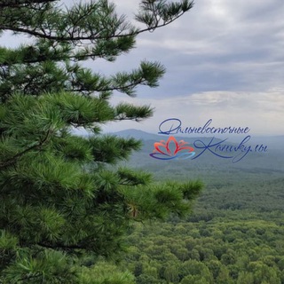 Логотип @dvholidays - ✈️"ДВ Каникулы"🌏Ваш туроператор