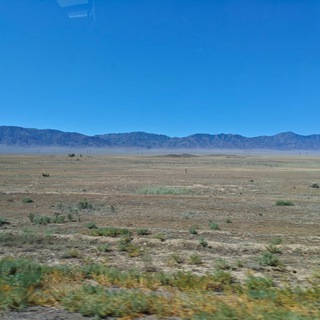 Логотип @dvizenievpole - Движение в поле