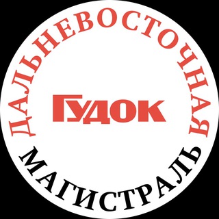 Логотип @dvm_dv - Газета «Дальневосточная магистраль»