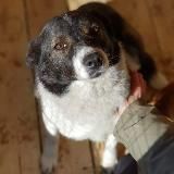 Логотип @dvnzh1 - "Дорога в Новую Жизнь"