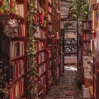 Логотип @dvorknig - Книжный дворик