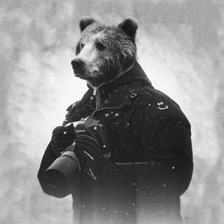 Логотип @dvreportazh - Дальневосточный репортаж