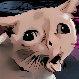 Логотип @dwynel - DWYNEL