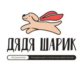 Логотип @dyadya_sharik - ПёсДаКотиЯ🐱🐶 Дядя Шарик