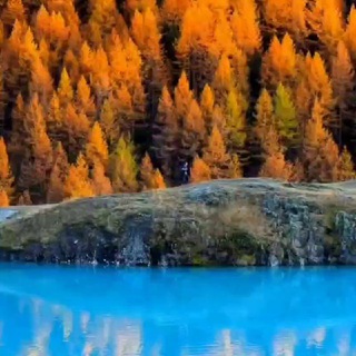 Логотип @dyhsveta - Сакраменто