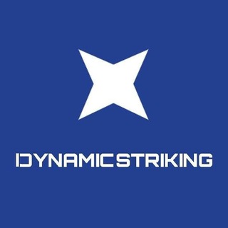Логотип @dynamic_striking - Dynamic Striking