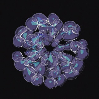 Логотип @dynamicmeditation - Dynamic Meditation