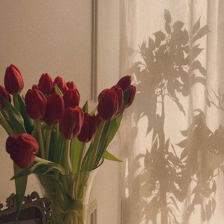 Логотип @dyohnadog98 - доьхна дог Chat