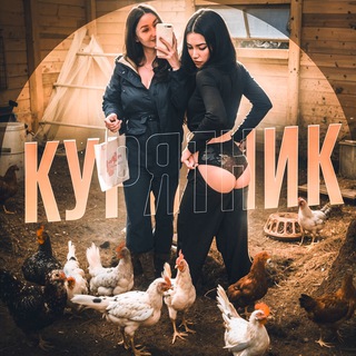 Логотип @DyWcqy2e1vBlMjRi - КУРЯТНИК