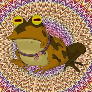 Логотип @dzabydzien - Dzabiý dzień 🐸🕊