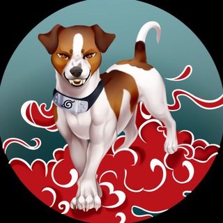 Логотип @dzhina_tricolor_05 - 💙Джина🖤