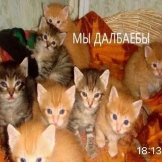 Логотип @dzpcrew - ДЦП Crew