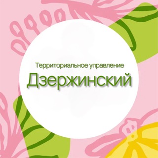 Логотип @dzr_ty - Территориальное управление Дзержинский
