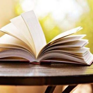 Логотип @dzsgxs - 电子书|阅读|学习|课程