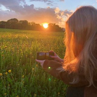 Логотип @dzyau - дзяу.