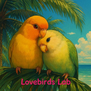Логотип @e86911020 - Lovebirds Lab Попугаи