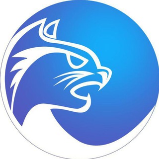 Логотип @e9cat - 9CAT Global