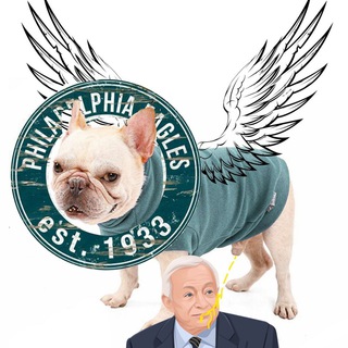 Логотип @eanest - Philadelphia Eagles’ Nest