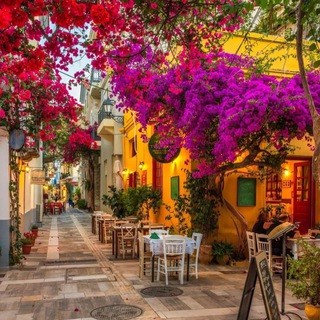 Логотип @earthexplorationtravels - Earth Exploration Travels