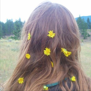 Логотип @earthlyelementss - EarthlyElementss