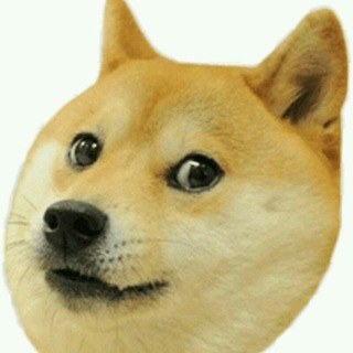 Логотип @easy_earn_doge - ♣️Easy Earn DOGE