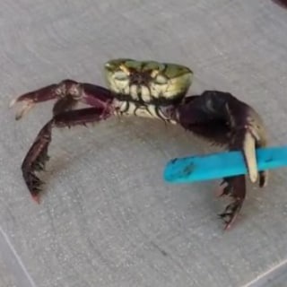 Логотип @easy_ege_math - Матеша с нуля до ЕГЭ