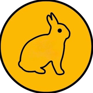 Логотип @easy_shop39 - Жёлтый кролик 🐰
