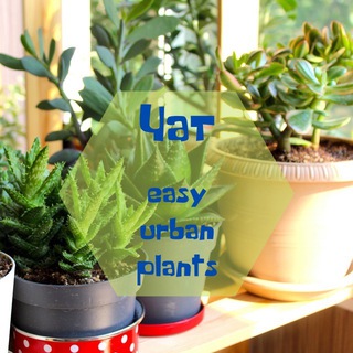 Логотип @easyurbanplantschat - Растения в большом городе. Обсудим?