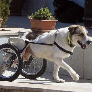 Логотип @easyvopros - Ебалютый вопрос