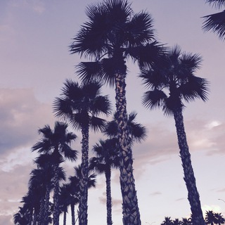 Логотип @eatandsee - Eat&See