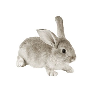 Логотип @eatmorearte - GRITSAY