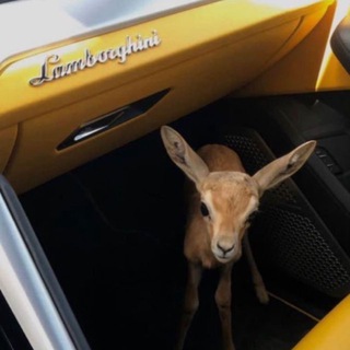 Логотип @eatprayloooove - Eat Pray Love