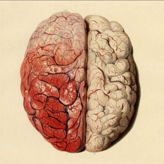 Логотип @eazy_growth - Развитие и Человек