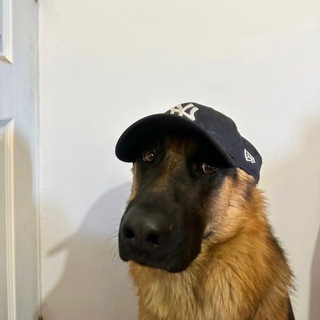 Логотип @ebatcapital - Палыч?