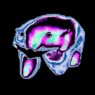 Логотип @ebdoknm_old - ЕВДОКИМск 🫡