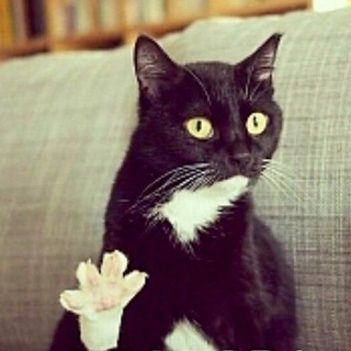 Логотип @ebitchat - EBITДЧАТ