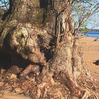 Логотип @eblakoblako - Еблако