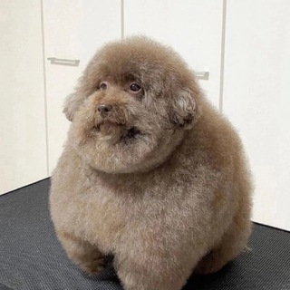 Логотип @ebutchiy - Е*учий. (Kazeno/Crypto)