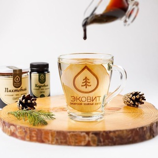 Логотип @ec0vit - 🌲🌲ЭКОВИТ🌲🌲