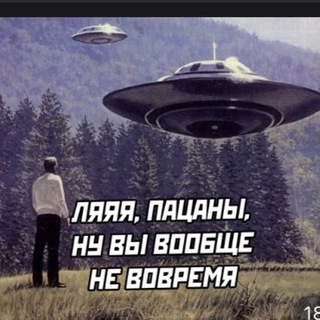 Логотип @ecamushka - ECAM ACTION