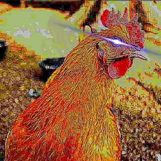 Логотип @eccepollo - Ecce Pollo