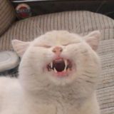 Логотип @ecconomtalk - Эконом Чат