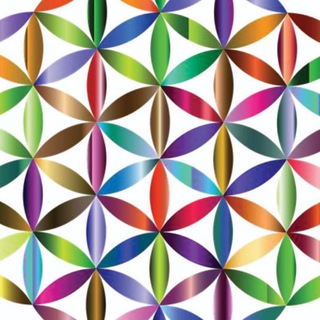 Логотип @echtekolloidalebyjoe - Welt der Echten Kolloidalen