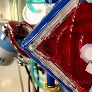 Логотип @ecmo_rf - ЭКМО.рф