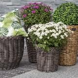 Плетение кашпо из ротанга