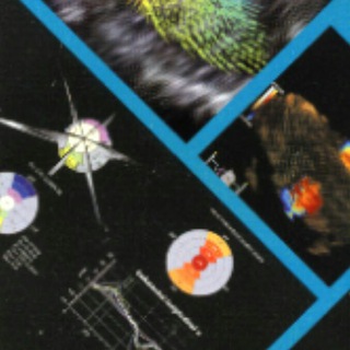 Логотип @ecocardiografiamonaldi - Ecocardiografia