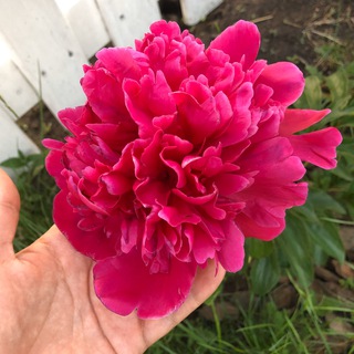 Логотип @ecodacha - 🌱 ЭкоДАЧА 🌱